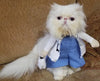 Image of Cute Doctor Cat Costume