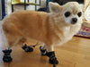 Image of Good Grip Doggie Winter Shoes