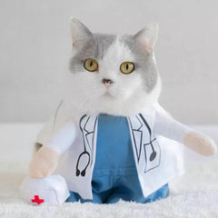 Cute Doctor Cat Costume