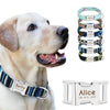 Image of Personalized Dog Collar