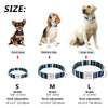 Image of Personalized Dog Collar