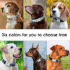 Image of Personalized Dog Collar